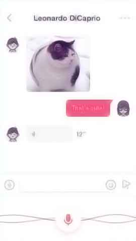 ddos页端软件程序维护界面